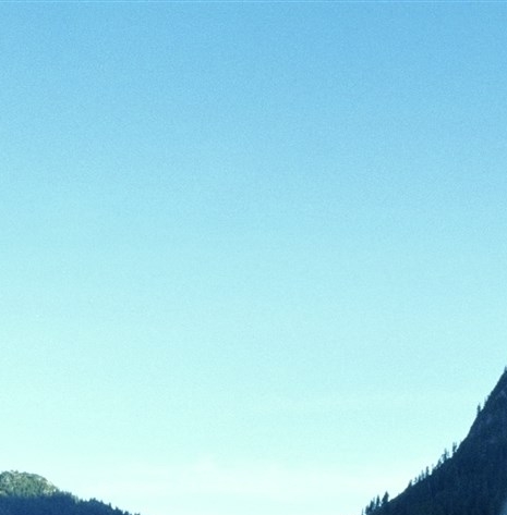 粉象生活创始人李红星