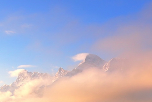 粉象生活邀请码万输260021稳