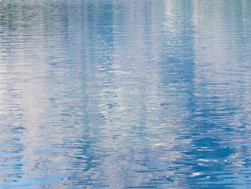 粉象生活怎么领取奖励金