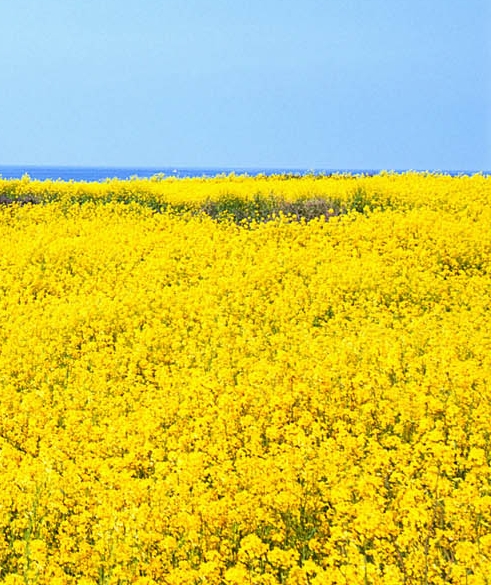 粉象生活app靠谱吗