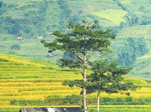 广告推送怎么关闭