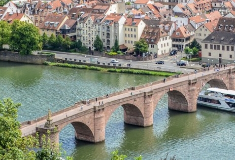 粉象生活升级会员后真的能赚钱吗