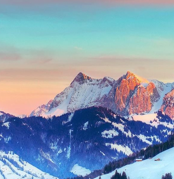 粉象生活开通会员有什么用