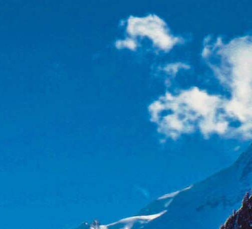 长沙粉象生活怎么