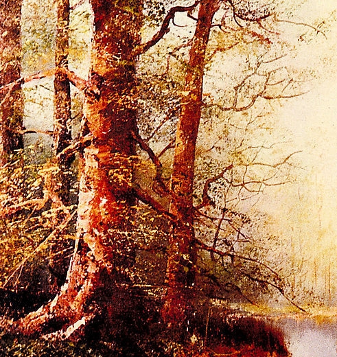 粉象生活能赚到钱吗