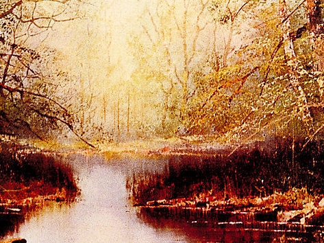 粉象生活合法吗