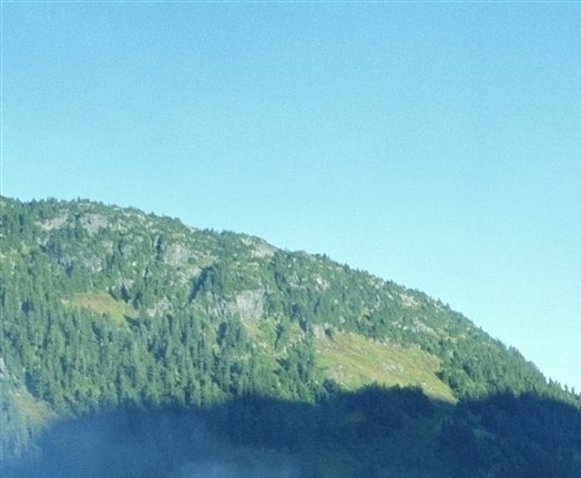 粉象生活是个什么东西