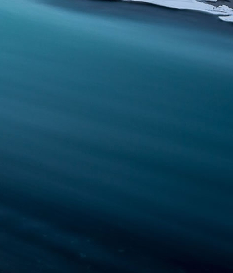 粉象生活有哪些好的货源