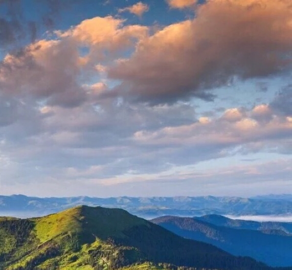 粉象预估优选佣金