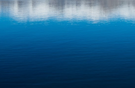 粉象生活做分销