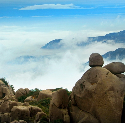 万象物语黑位豹女