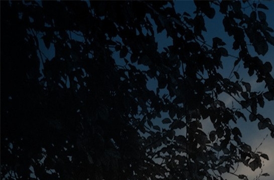 粉象生活怎么注册团队人员