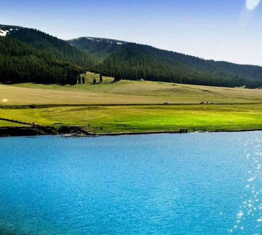 粉象生活创业方法