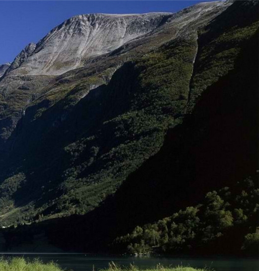 粉象生活下载app