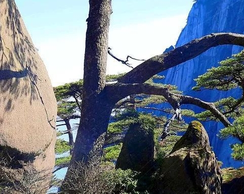 粉象生活的团队如何注册