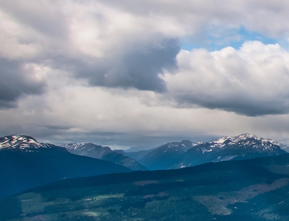 活动展架设计模板
