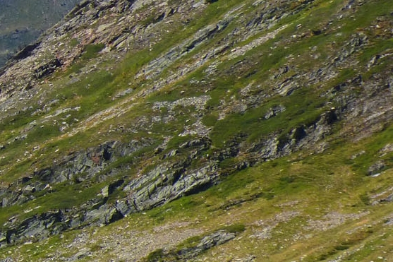 粉象生活到底能不能做