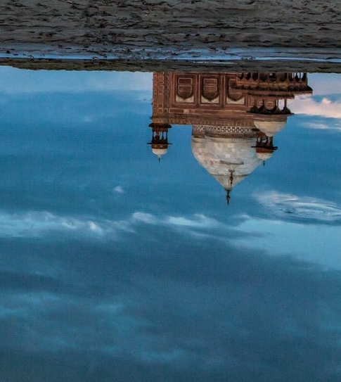 粉象生活怎么能挣钱