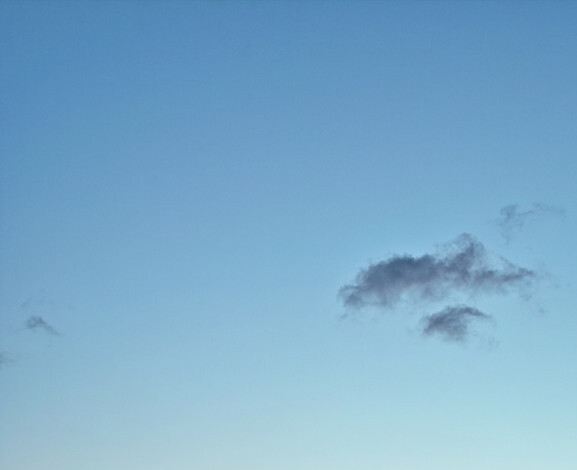 粉象生活奖励机制