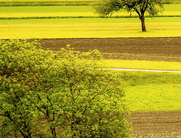 粉象生活推荐给别人人家不相信怎么办