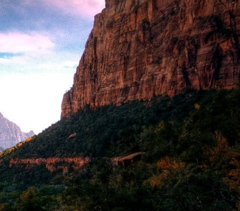 粉象生活安徽团队