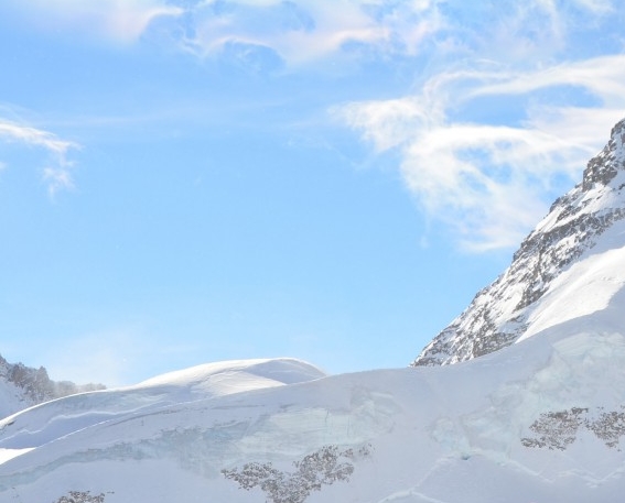 粉象生活是什么?