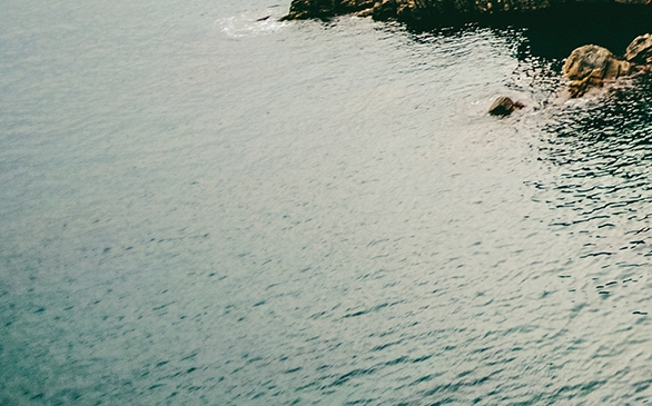 粉象生活下载app