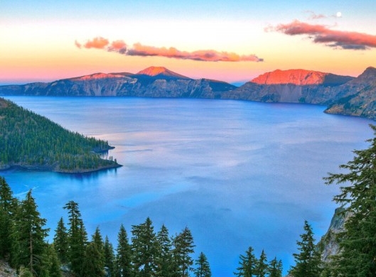 粉象生活到底靠谱吗