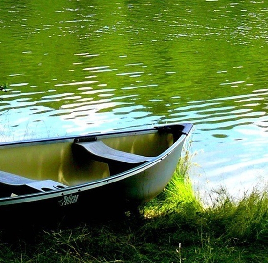 粉象生活是什么?