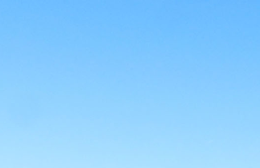 粉象生活最安全的邀请码