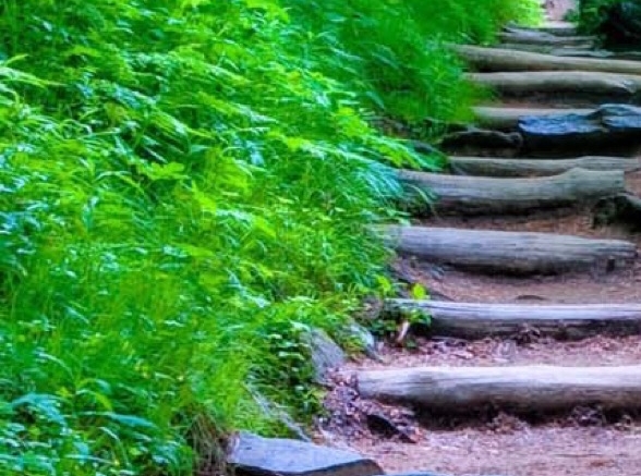 粉象生活怎么赚积分