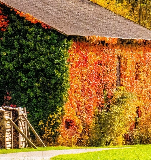 惠州粉象生活可信吗