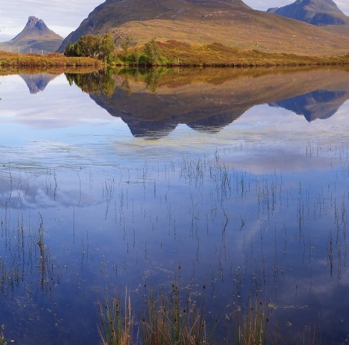 蜜源和粉象生活哪个好