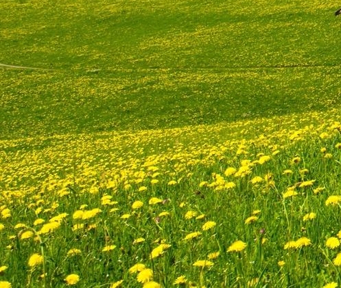 粉象生活邀请码
