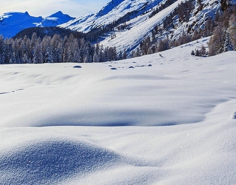 粉象生活好还是自然堂好