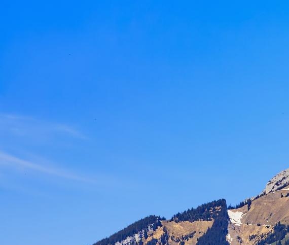 现在做粉象生活还赚钱吗