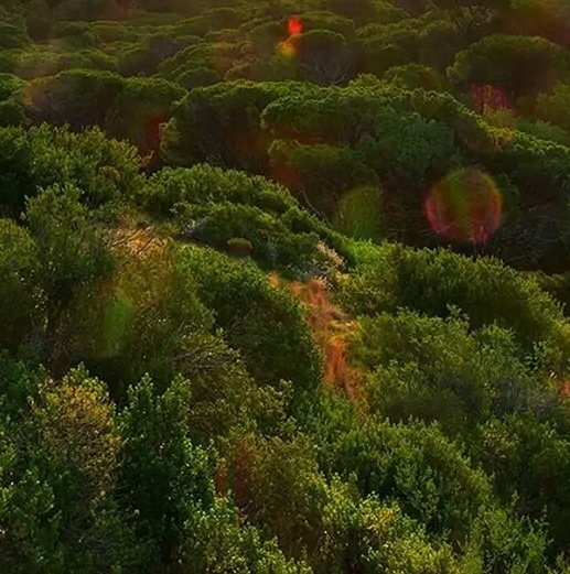 粉象生活合法吗