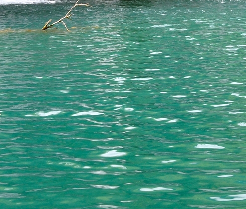 粉象生活赚钱教程