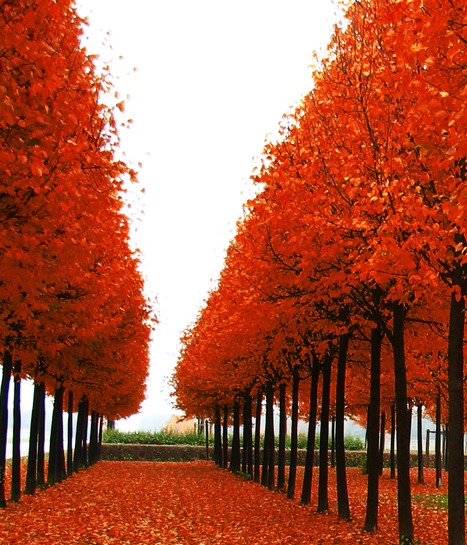 湖北孝感生活质量怎么样