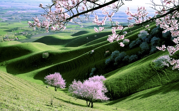 广州粉象生活科技有限公司