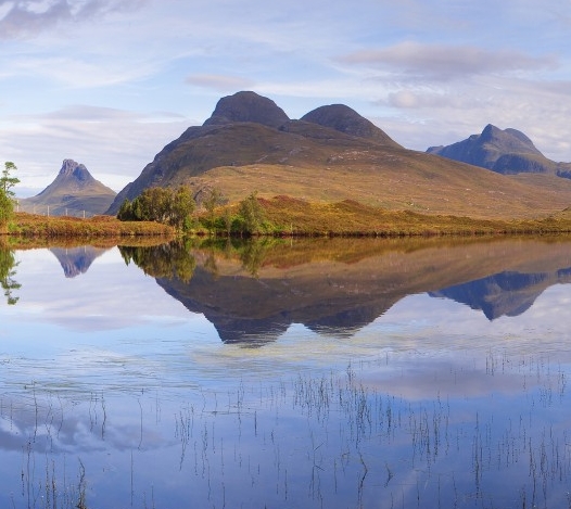 粉象生活上如何挣钱