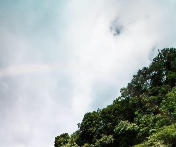 粉象生活正规合法吗