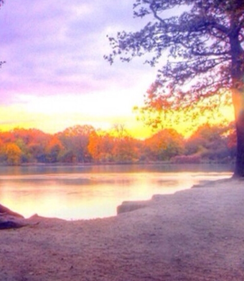 粉象生活我的邀请人在哪里找
