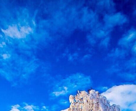 粉象生活如何上传