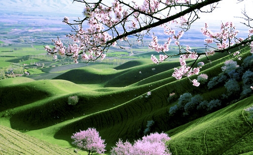 粉象生活合法吗