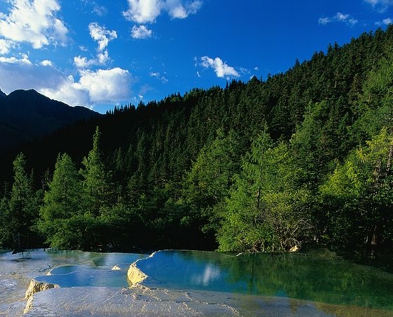 粉象生活营销故事