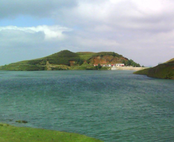 粉象生活是真的假的