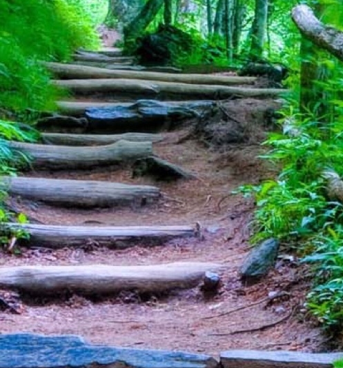 粉象生活指定邀请