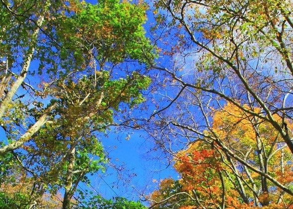 粉象生活能赚到钱吗