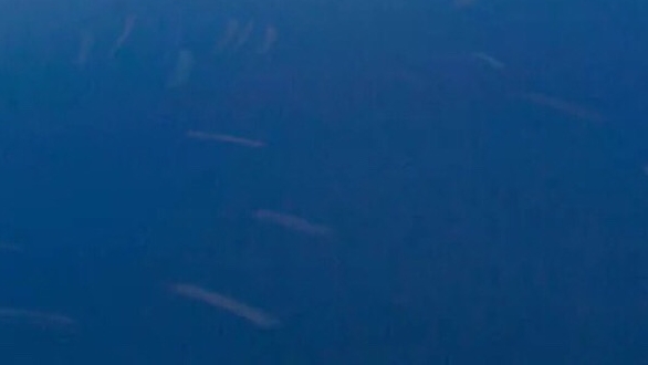 粉象生活怎么发展粉丝